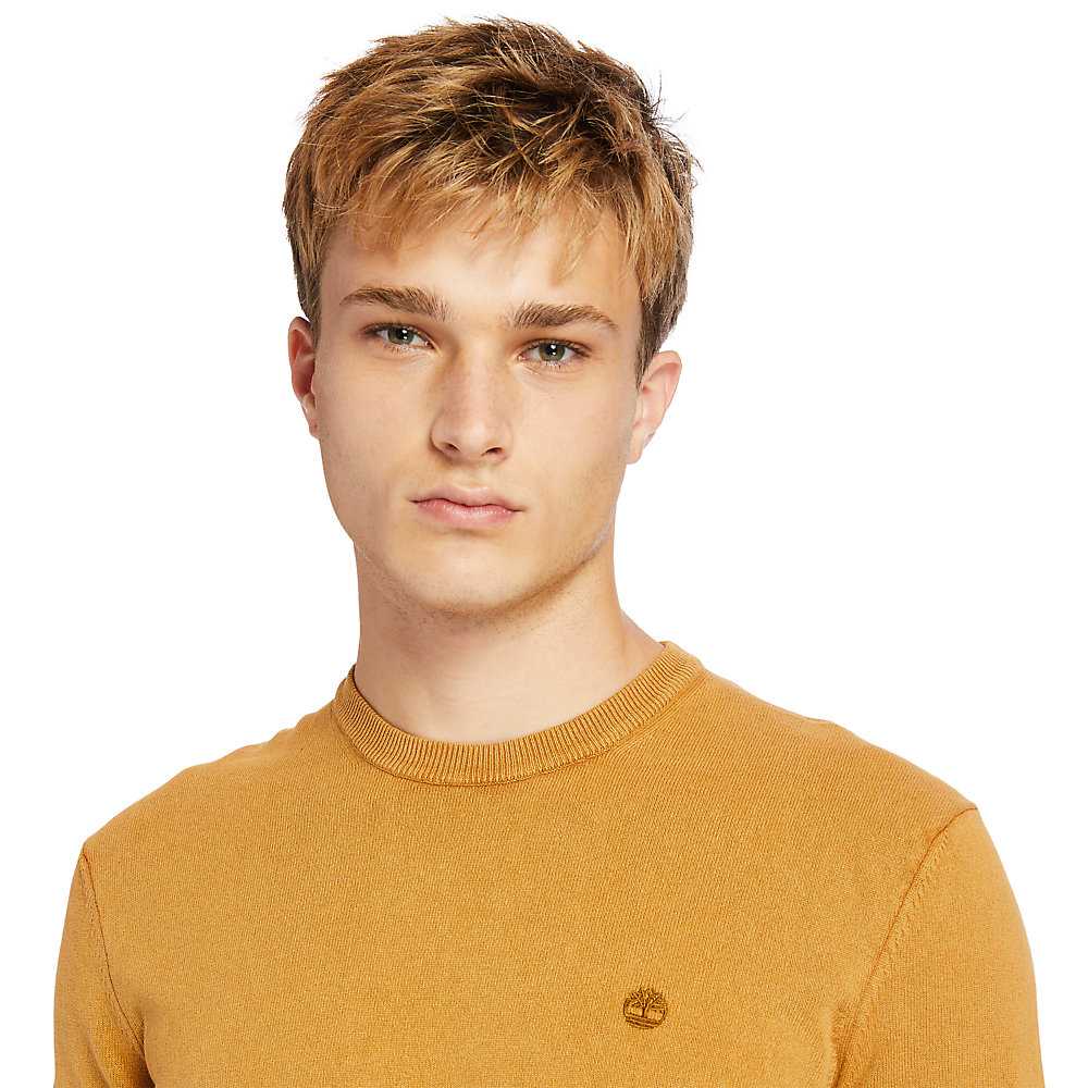 Men's Timberland Garment-Dyed Sweatshirt Yellow | UAE-6924537