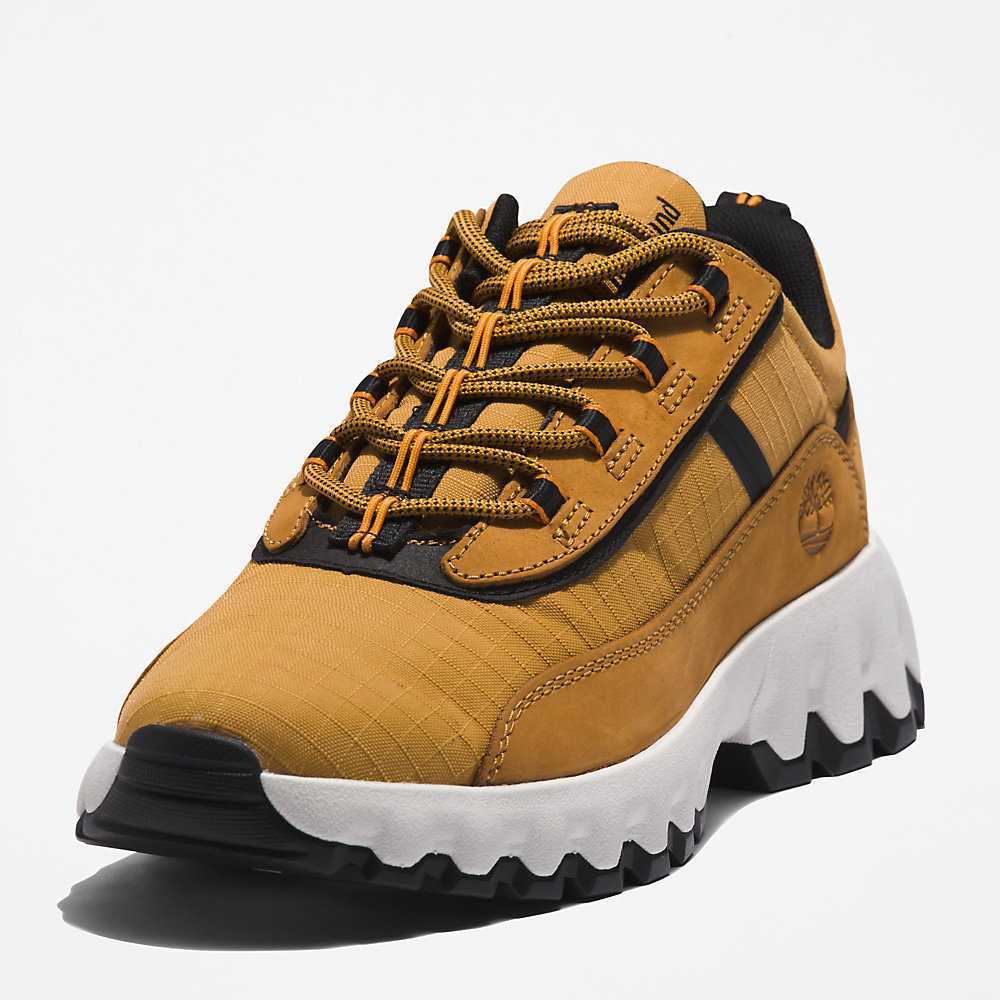 Men's Timberland GreenStride™ TBL® Edge Sneakers Brown | UAE-9365074