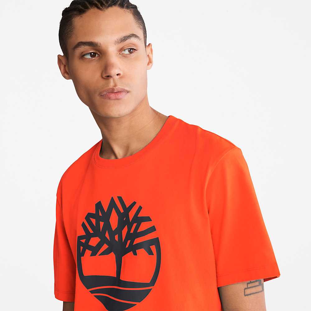 Men's Timberland Kennebec River T Shirts Orange | UAE-0123479