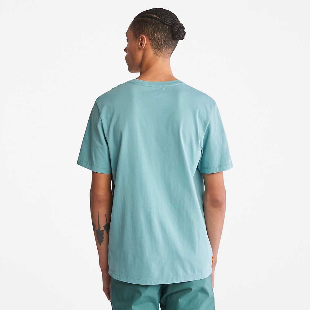 Men's Timberland Kennebec River T Shirts Turquoise | UAE-0965348