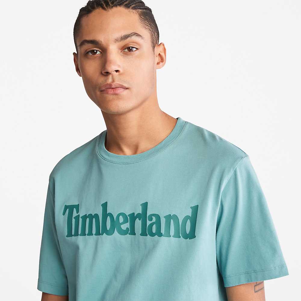 Men's Timberland Kennebec River T Shirts Turquoise | UAE-0965348