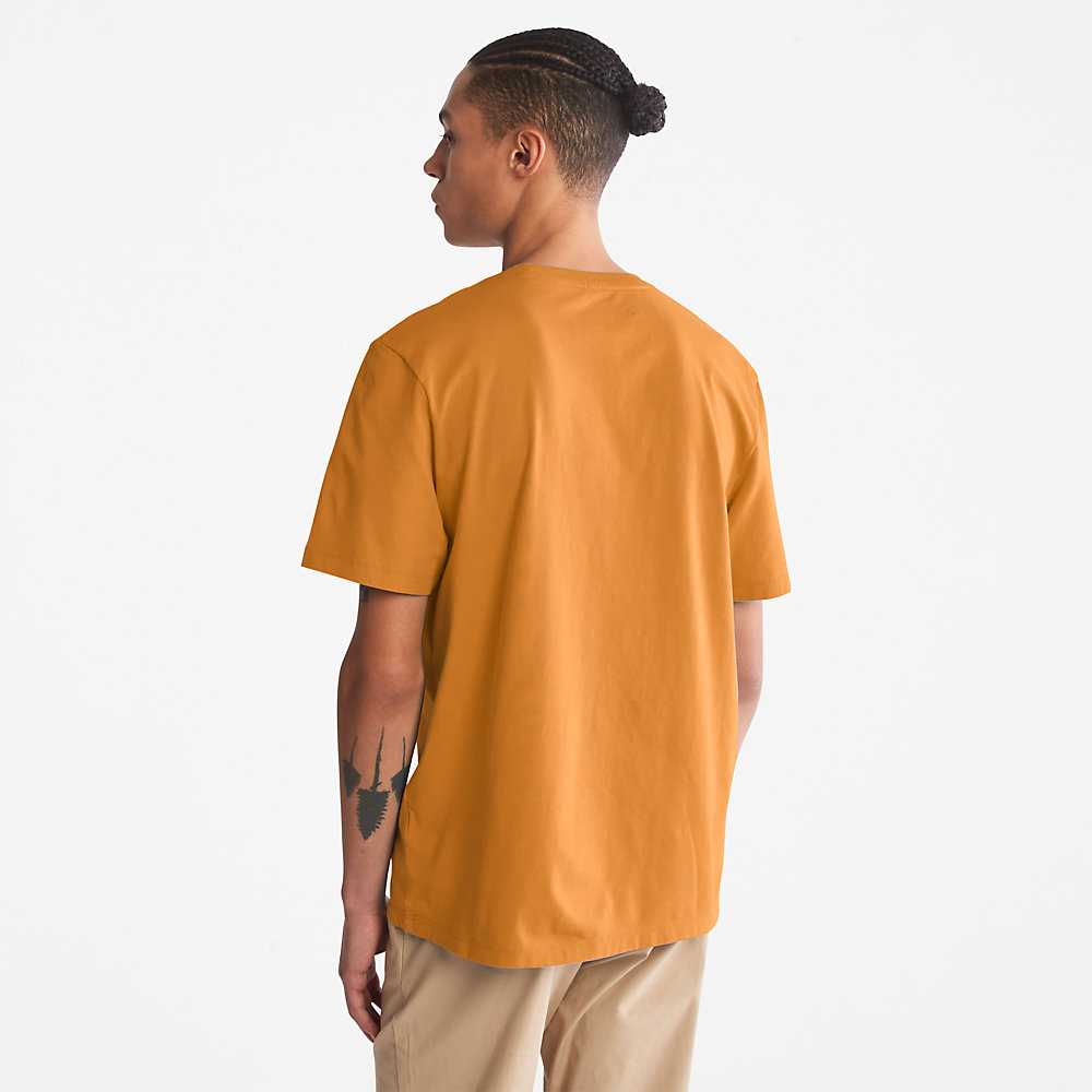 Men's Timberland Kennebec River T Shirts Yellow | UAE-1354096