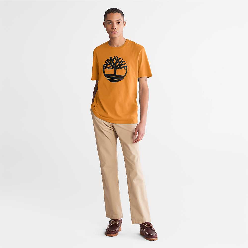 Men's Timberland Kennebec River T Shirts Yellow | UAE-1354096