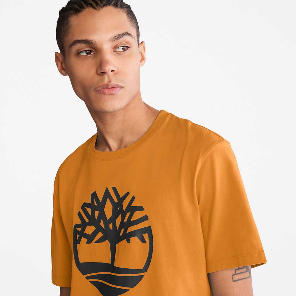 Men's Timberland Kennebec River T Shirts Yellow | UAE-1354096