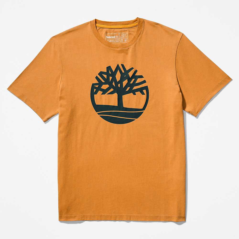 Men's Timberland Kennebec River T Shirts Yellow | UAE-1354096