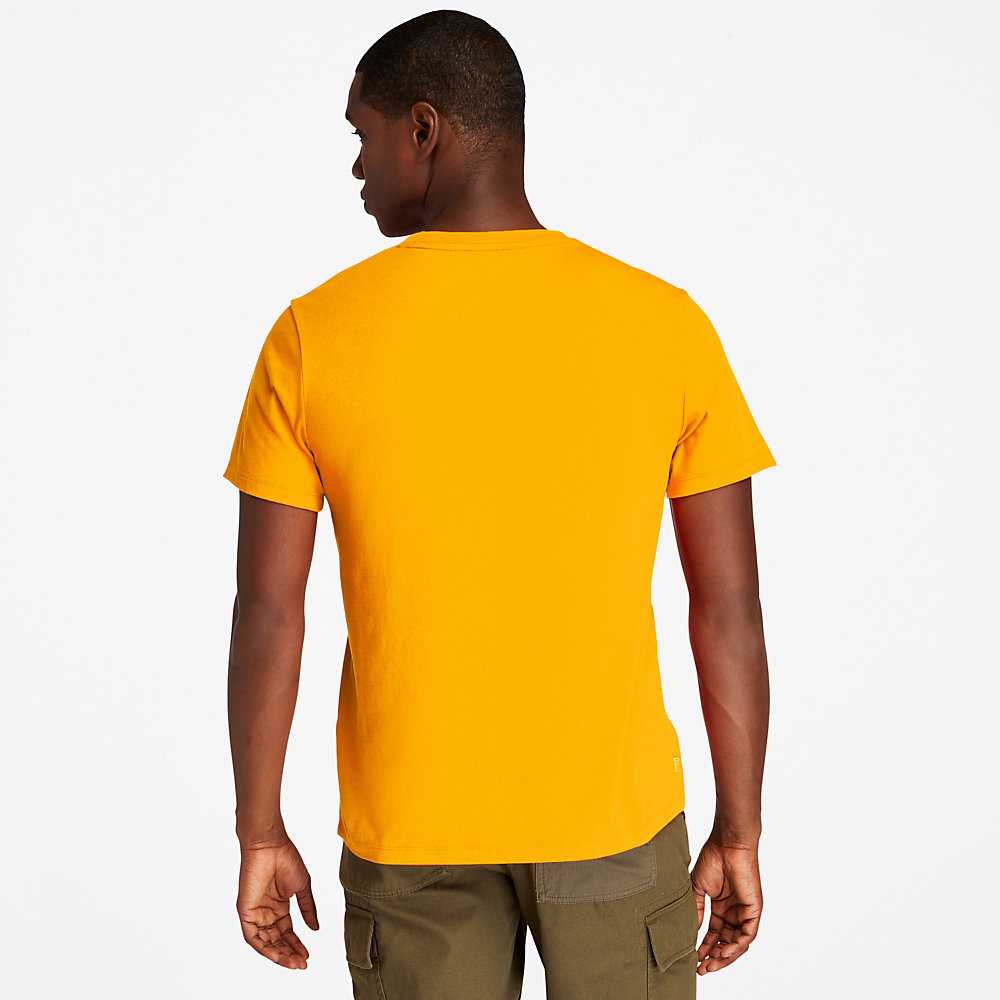 Men's Timberland Kennebec River T Shirts Orange | UAE-2431678