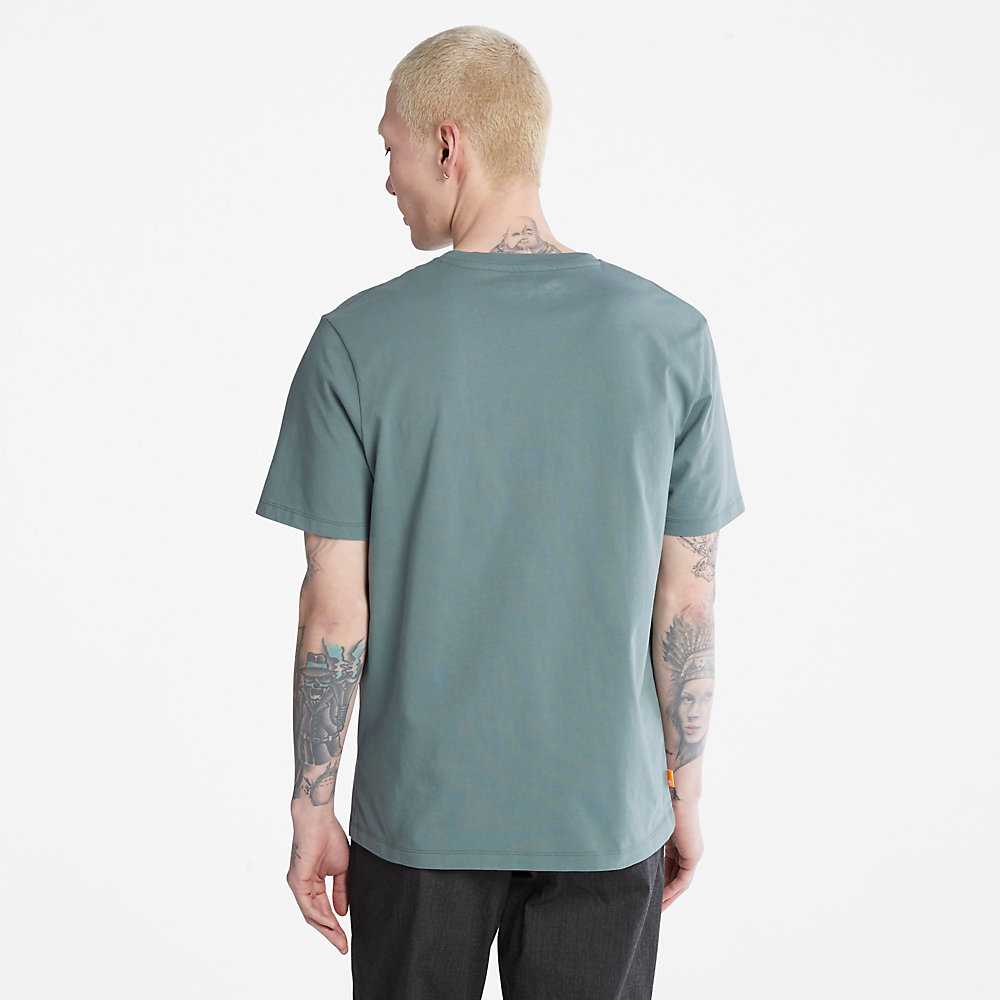 Men's Timberland Kennebec River T Shirts Green | UAE-3701428