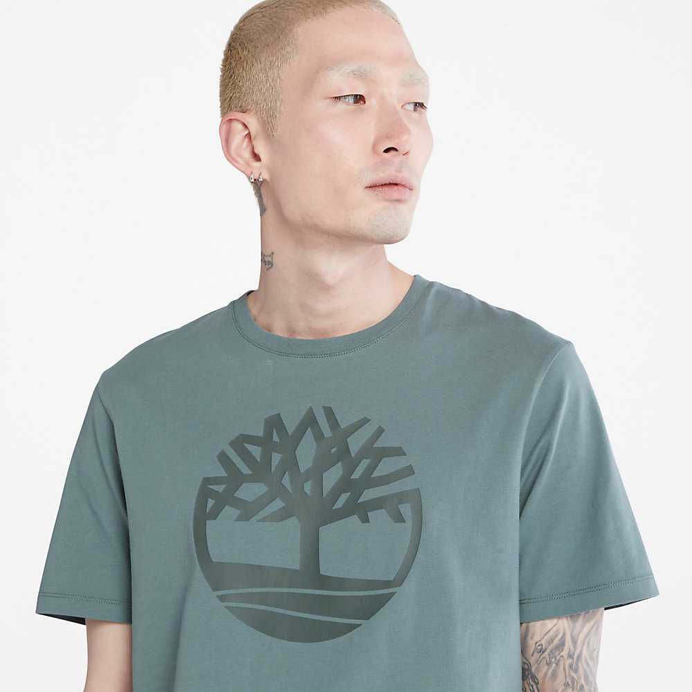 Men's Timberland Kennebec River T Shirts Green | UAE-3701428