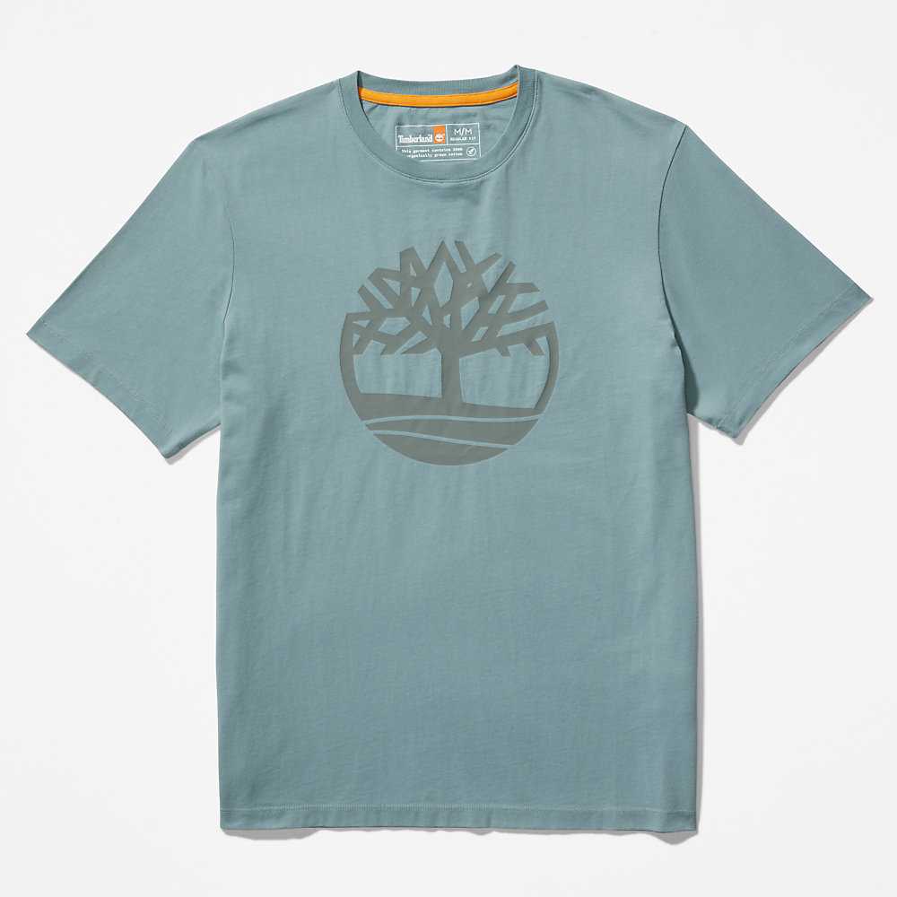 Men's Timberland Kennebec River T Shirts Green | UAE-3701428