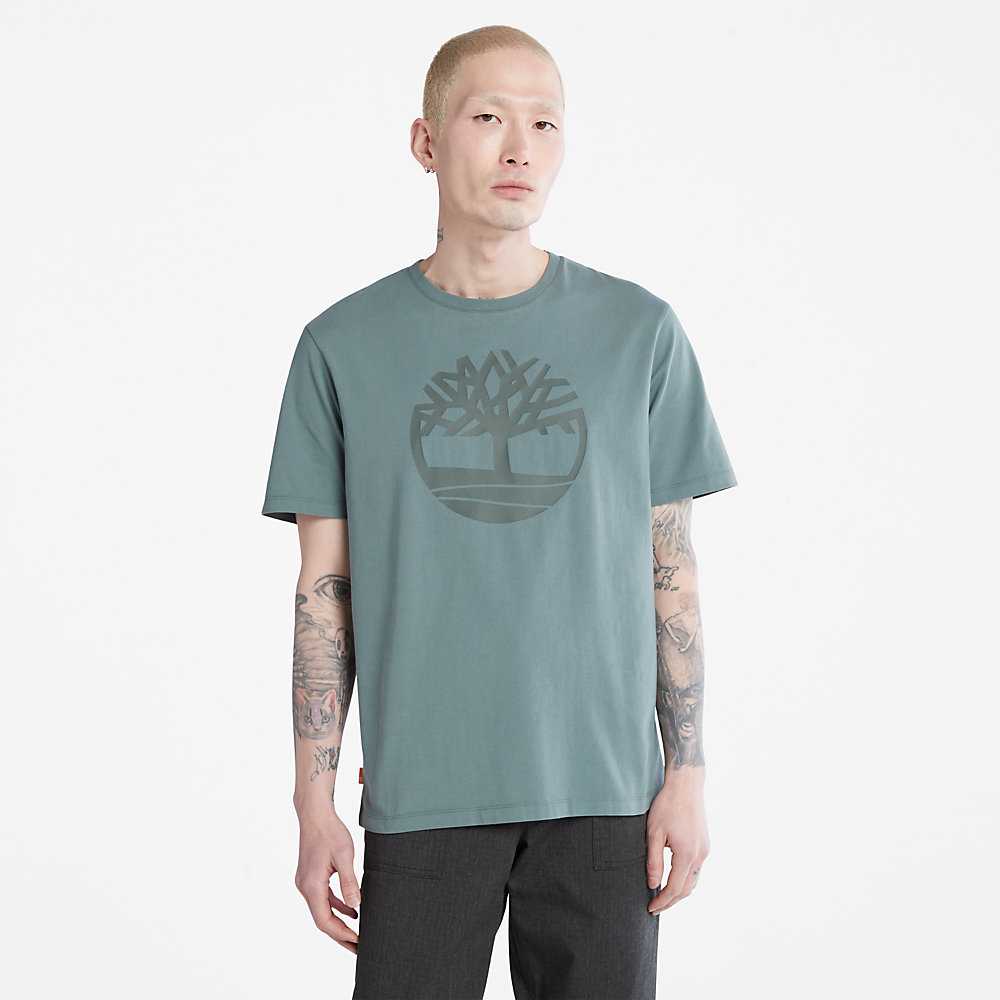 Men\'s Timberland Kennebec River T Shirts Green | UAE-3701428