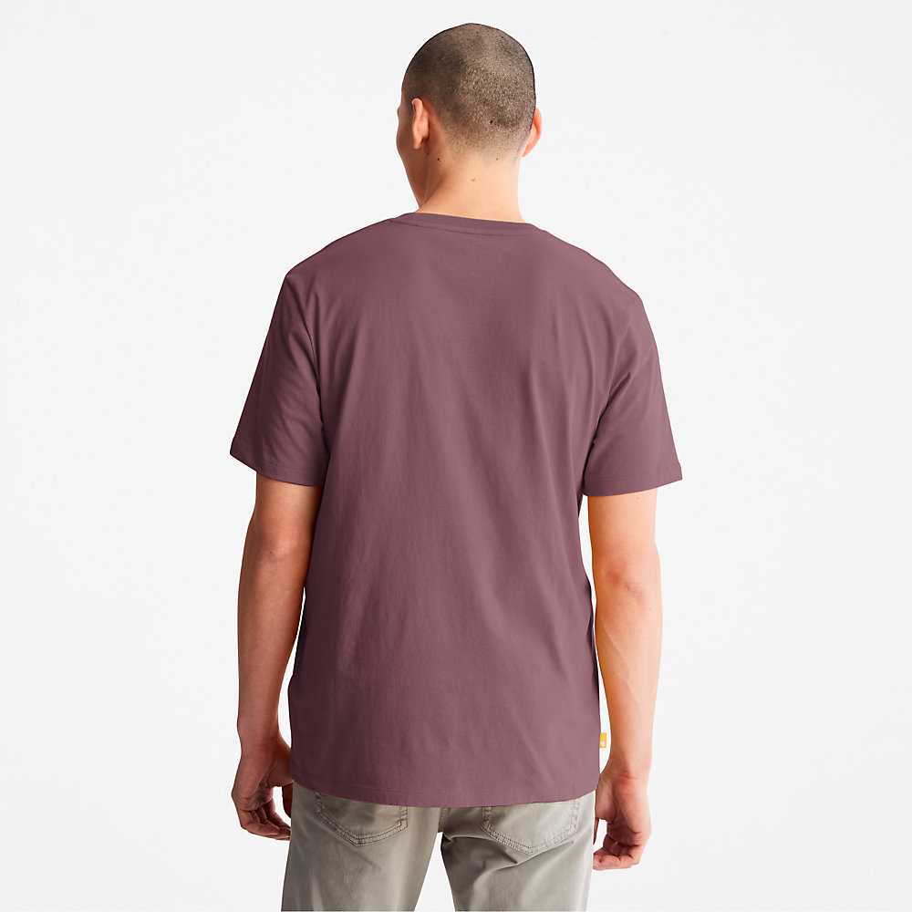 Men's Timberland Kennebec River T Shirts Purple | UAE-7980312