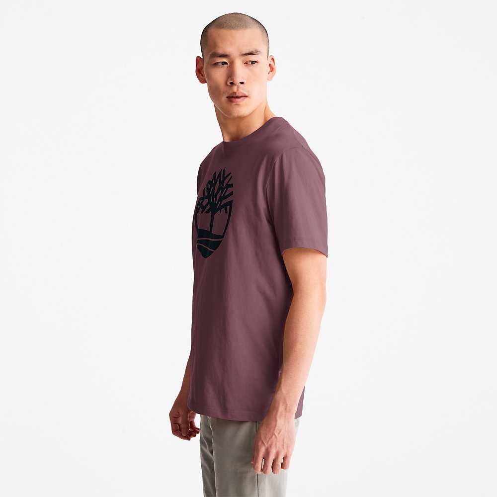 Men's Timberland Kennebec River T Shirts Purple | UAE-7980312