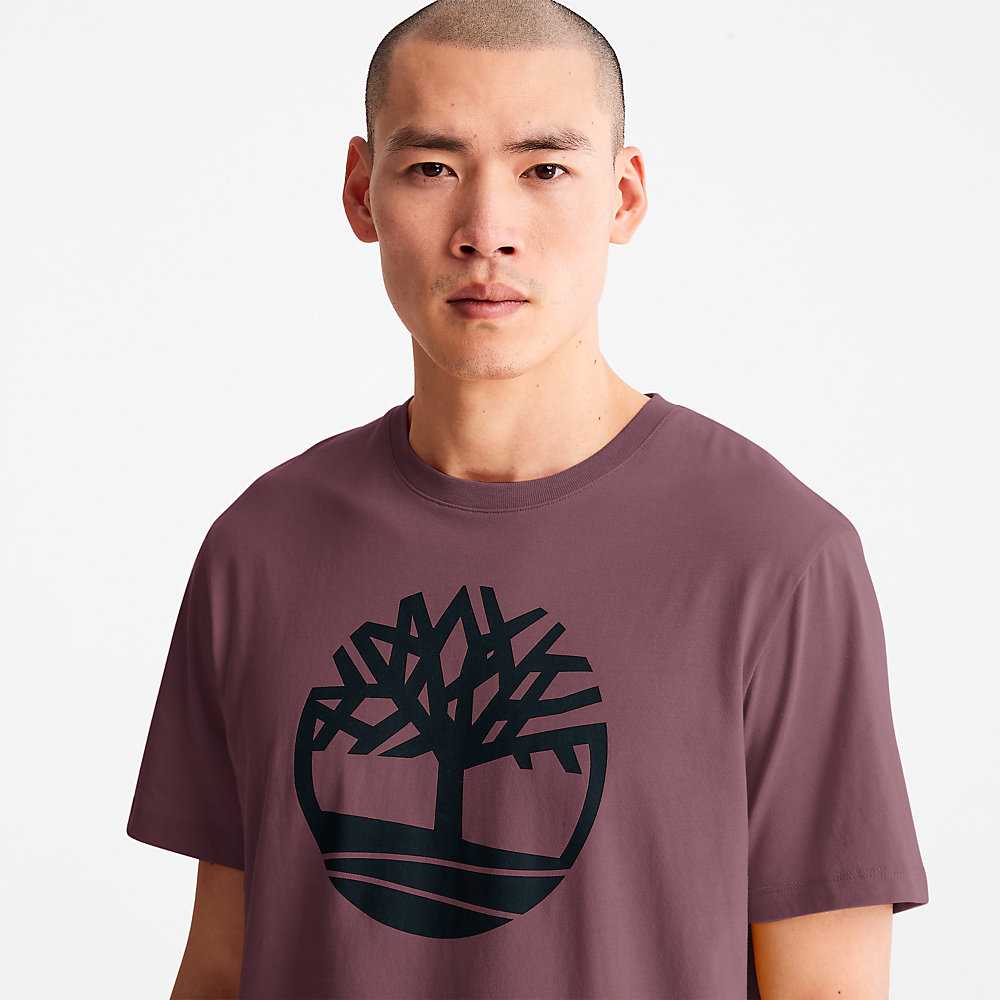 Men's Timberland Kennebec River T Shirts Purple | UAE-7980312