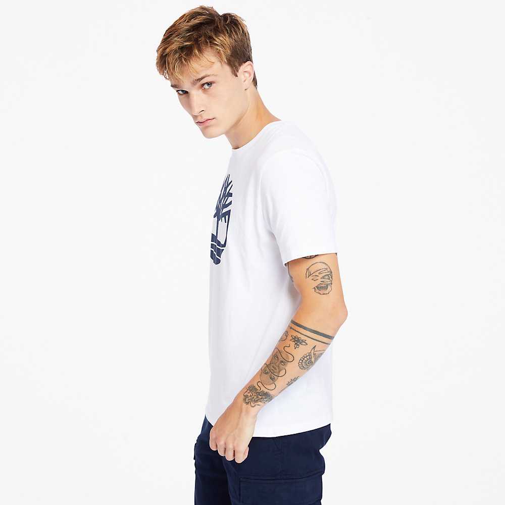 Men's Timberland Kennebec River T Shirts White | UAE-8503267