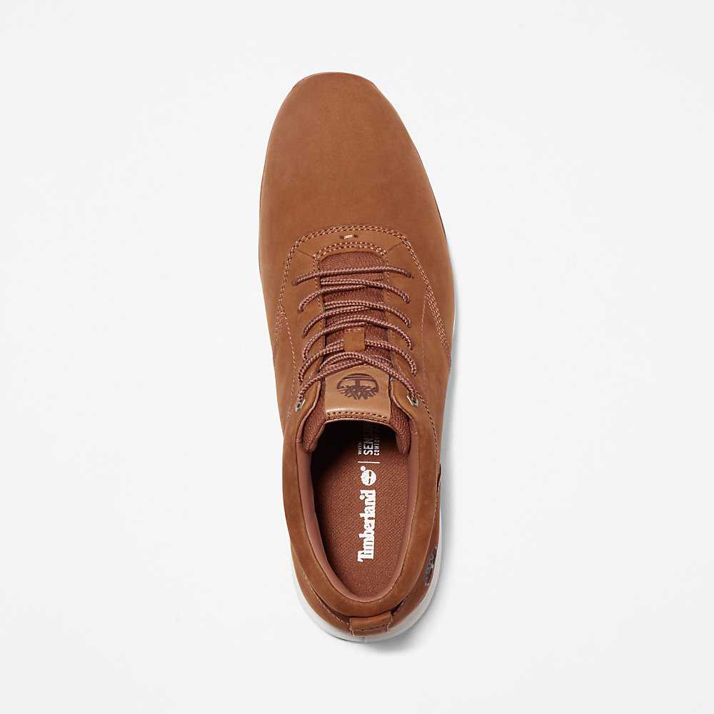 Men's Timberland Killington Sneakers Light Brown | UAE-0492716