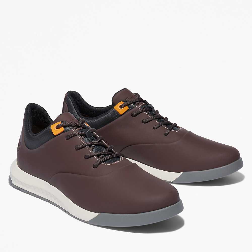 Men's Timberland Killington Ultra Sneakers Dark Brown | UAE-8193064