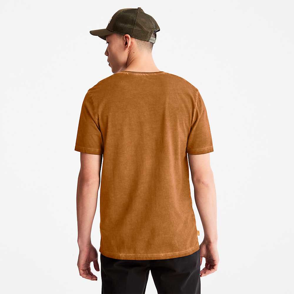 Men's Timberland Lamprey River T Shirts Yellow | UAE-0912876