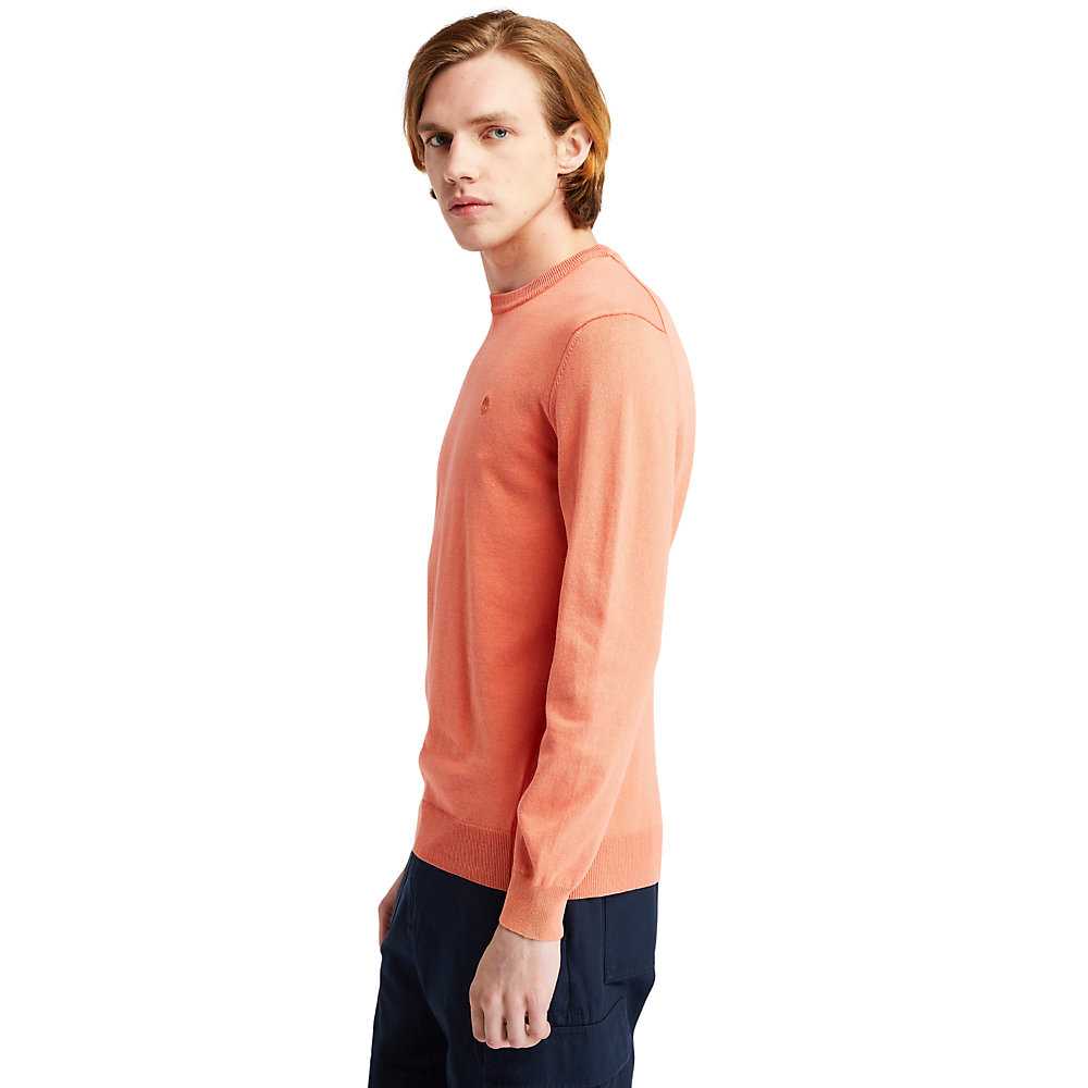 Men's Timberland Lightweight Washed Sweatshirt Orange | UAE-5389042