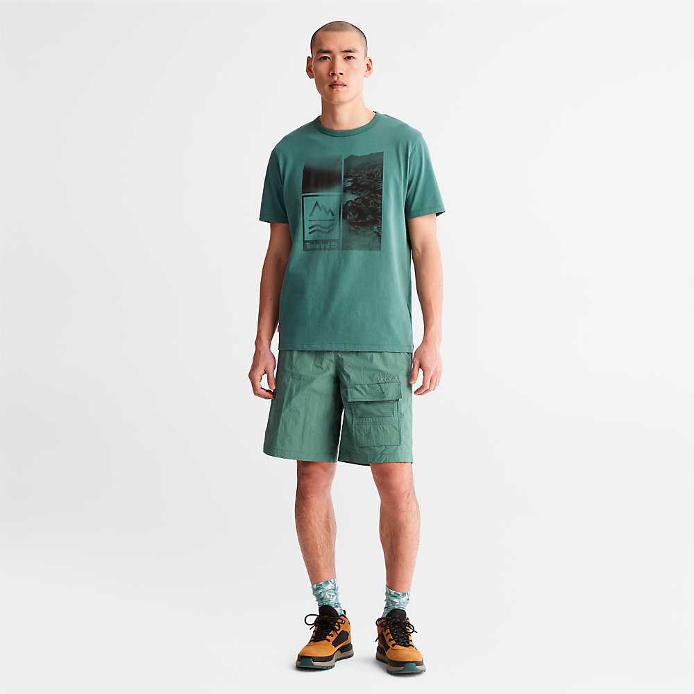 Men's Timberland Mountains-to-Rivers T Shirts Turquoise | UAE-8673905