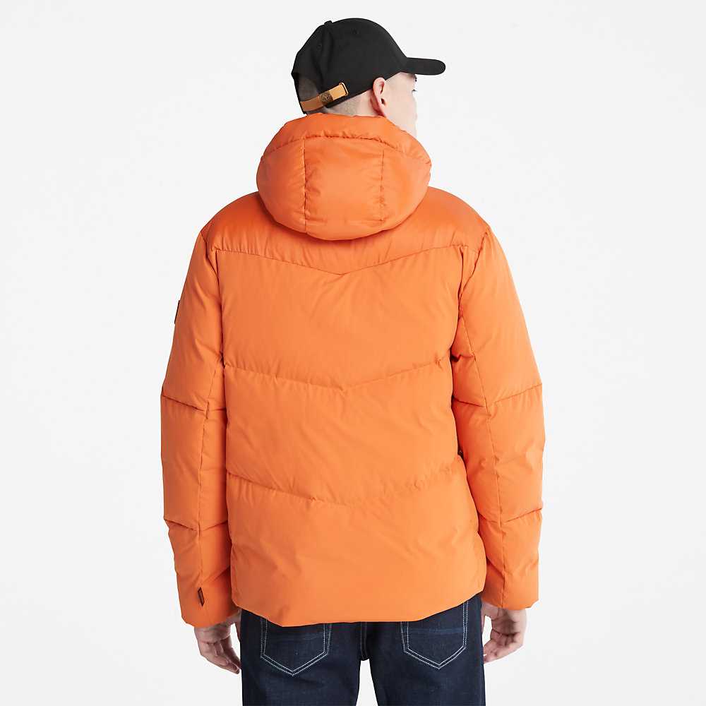 Men's Timberland Neo Summit Windbreaker Orange | UAE-0873159