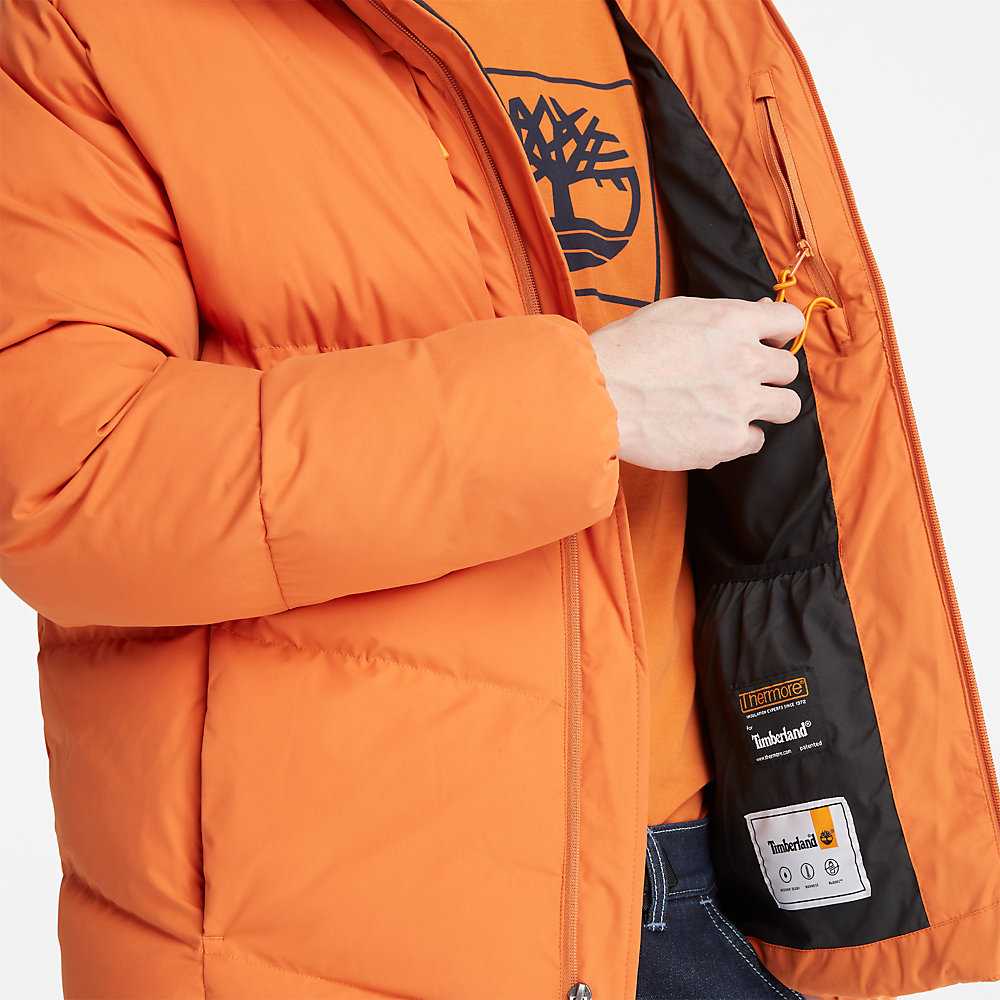 Men's Timberland Neo Summit Windbreaker Orange | UAE-0873159