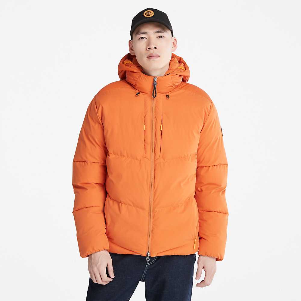 Men\'s Timberland Neo Summit Windbreaker Orange | UAE-0873159