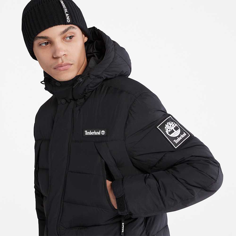 Men's Timberland Outdoor Archive Down Jackets Black | UAE-4013625