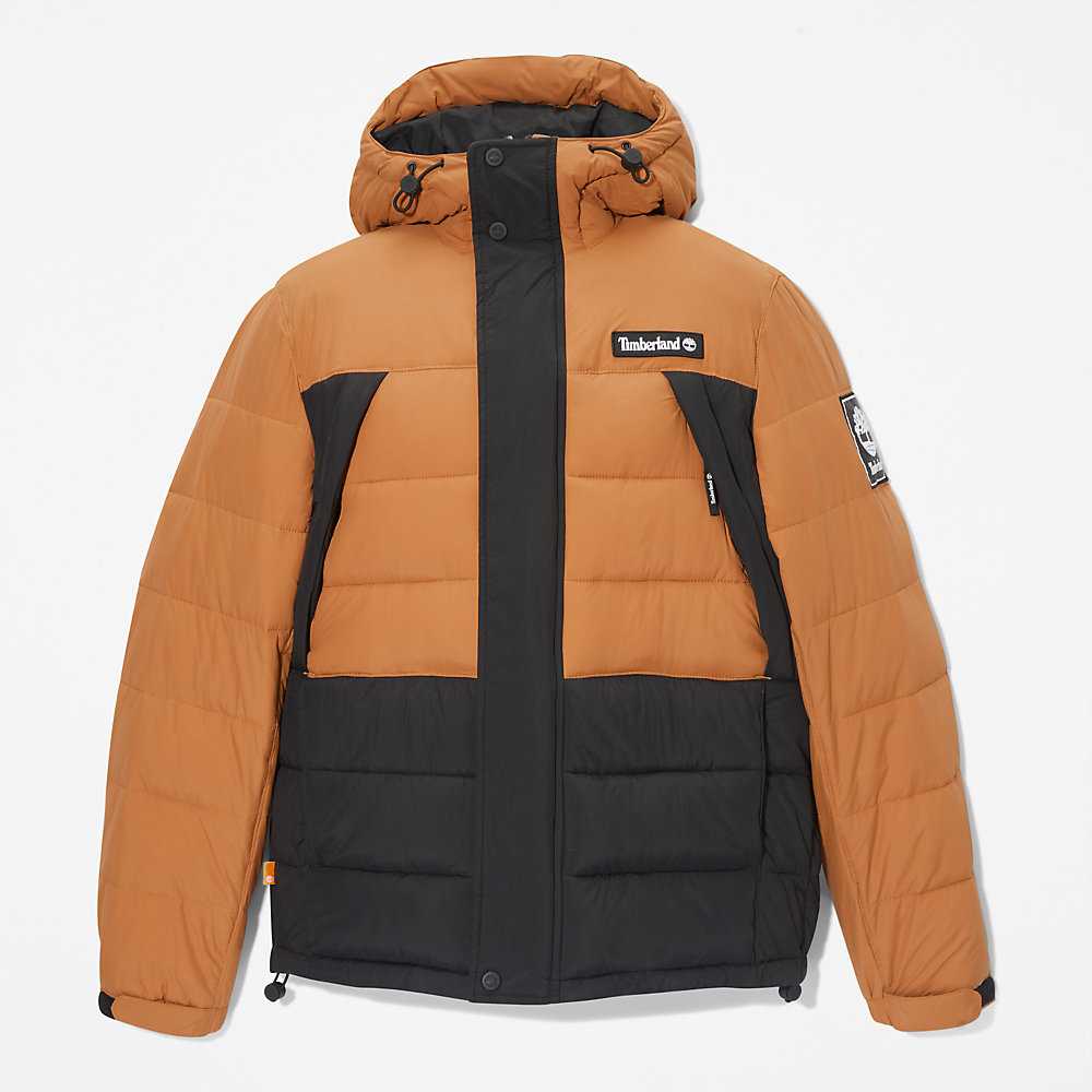 Men's Timberland Outdoor Archive Down Jackets Black | UAE-5703128