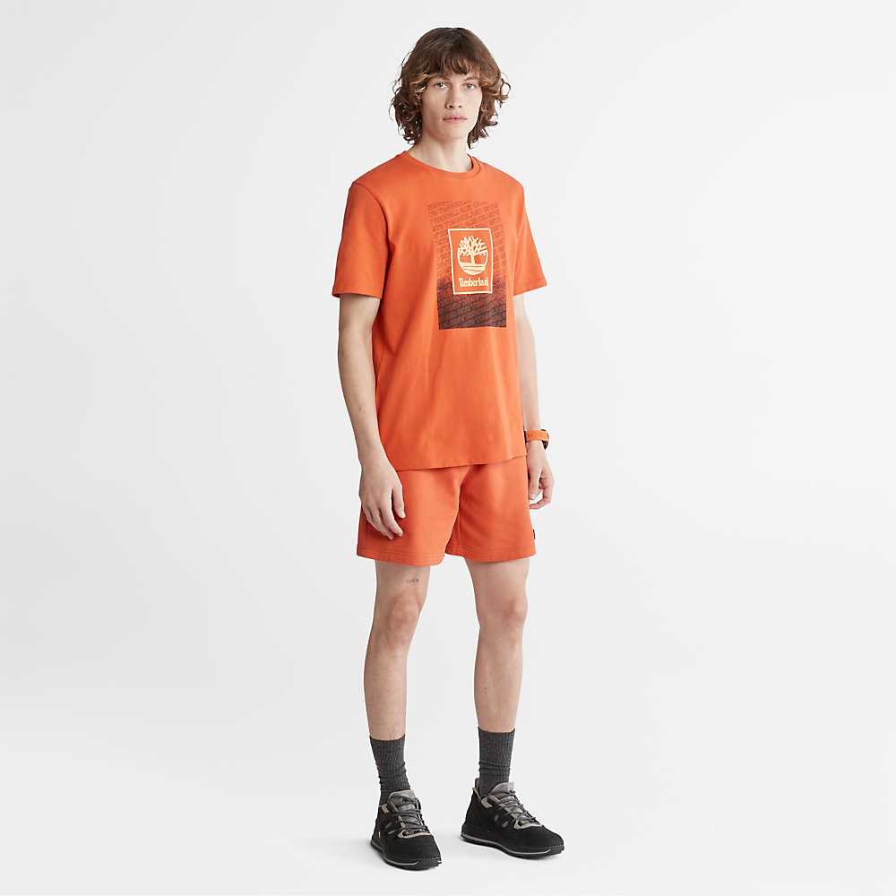 Men's Timberland Outdoor Archive T Shirts Orange | UAE-0874932