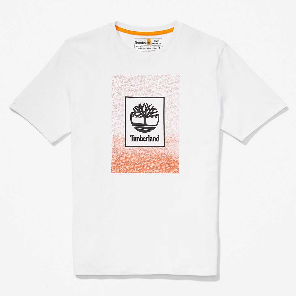 Men's Timberland Outdoor Archive T Shirts White | UAE-5893401