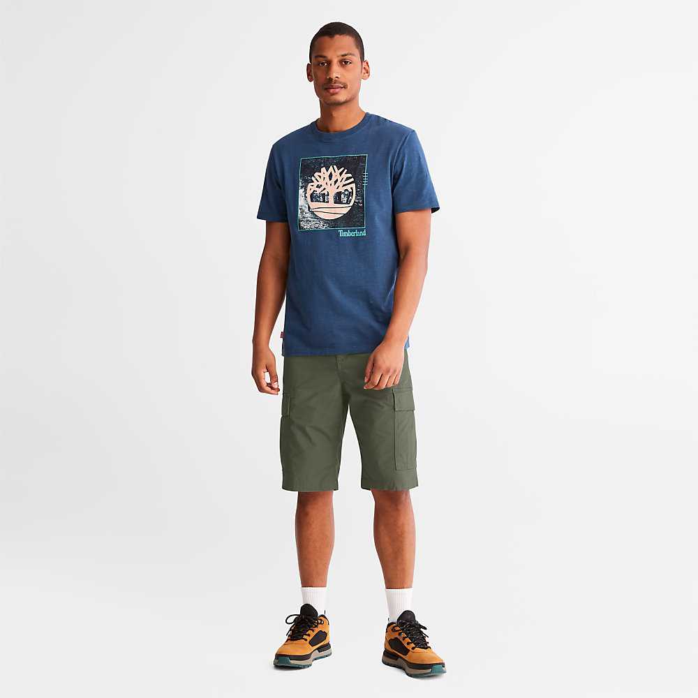 Men's Timberland Poplin Cargo Shorts Dark Green | UAE-4763850