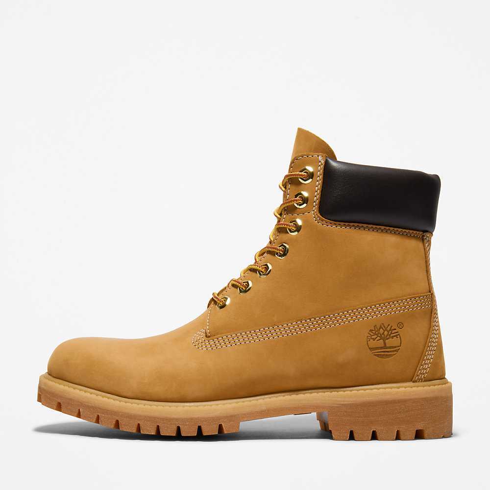 Men's Timberland Premium® 6 Inch Waterproof Boots Yellow | UAE-1364289