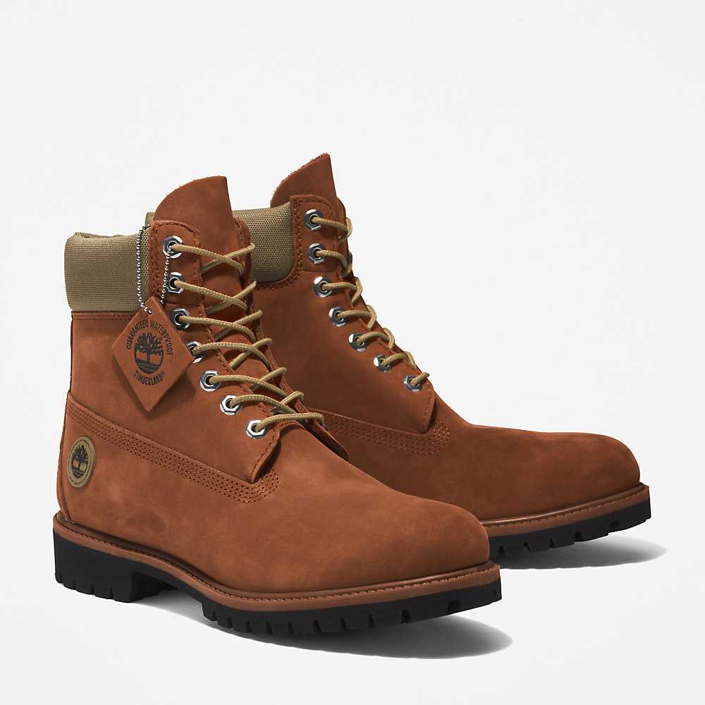 Men's Timberland Premium® 6 Inch Waterproof Boots Brown | UAE-1436087