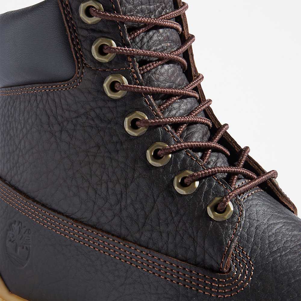 Men's Timberland Premium® 6 Inch Winter Boots Brown | UAE-5608913