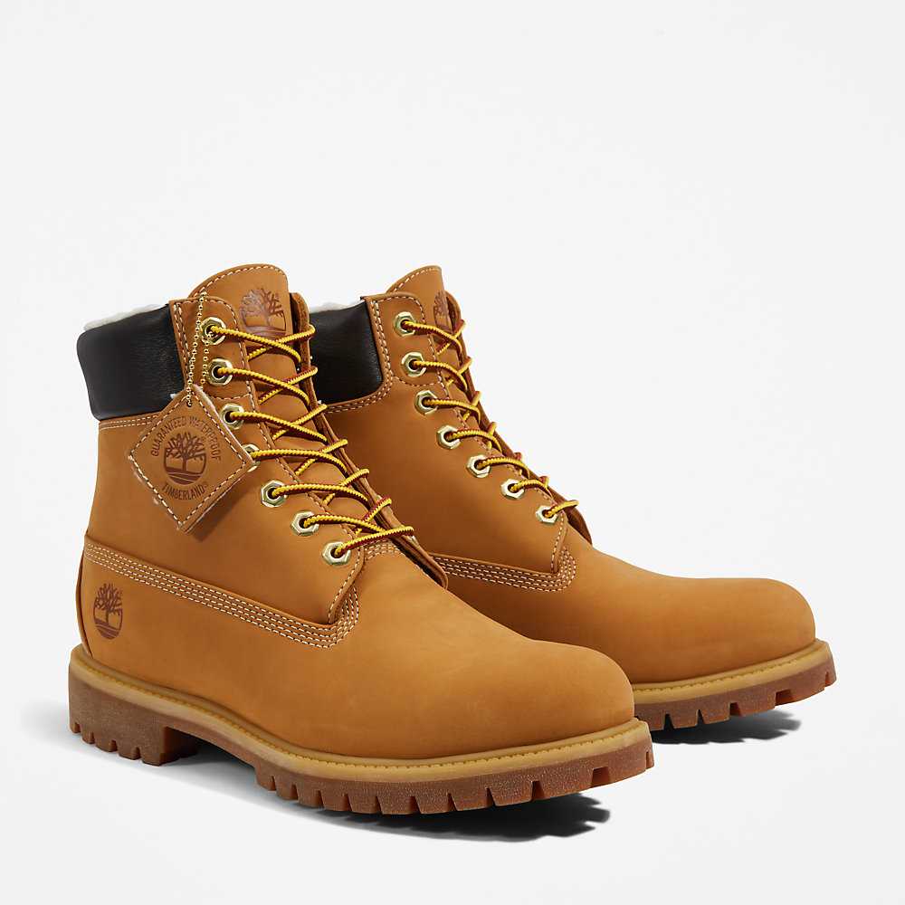 Men's Timberland Premium® 6 Inch Winter Boots Yellow | UAE-9574683