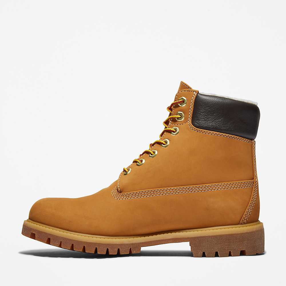 Men's Timberland Premium® 6 Inch Winter Boots Yellow | UAE-9574683