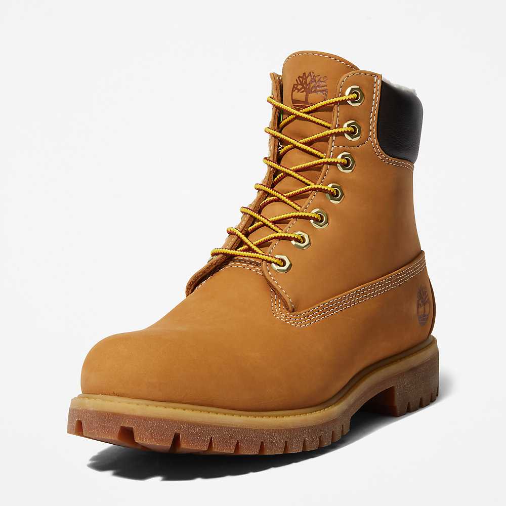 Men's Timberland Premium® 6 Inch Winter Boots Yellow | UAE-9574683