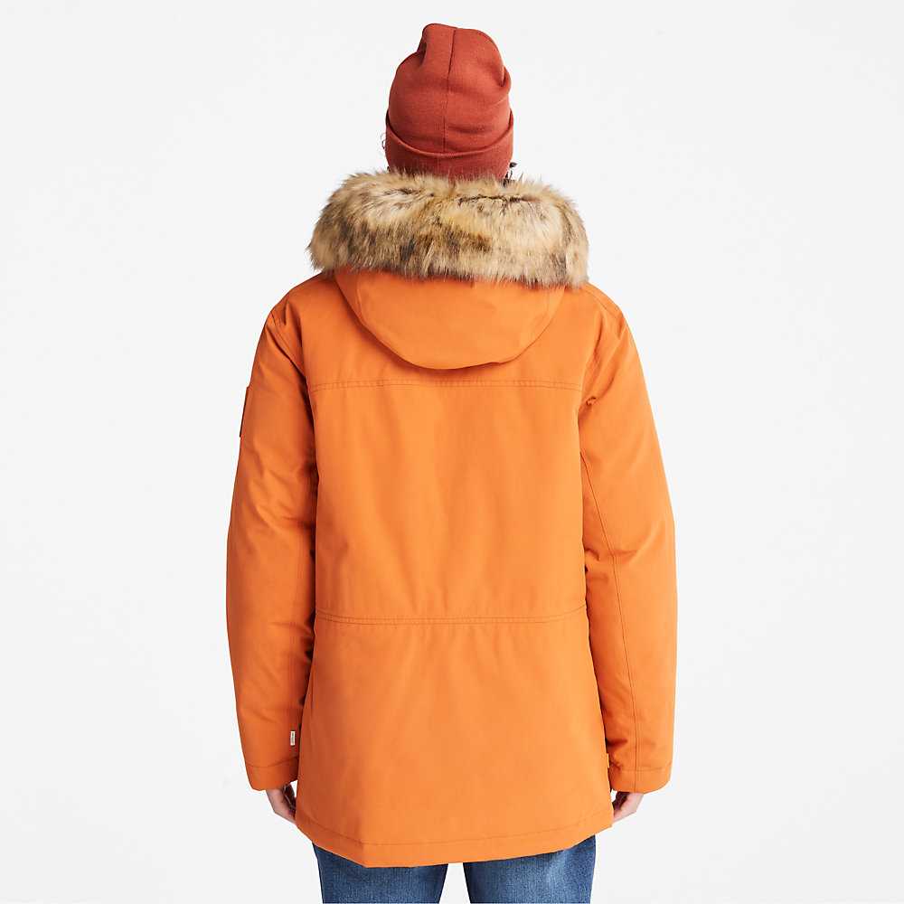 Men's Timberland Scar Ridge Parka Jackets Orange | UAE-8906753