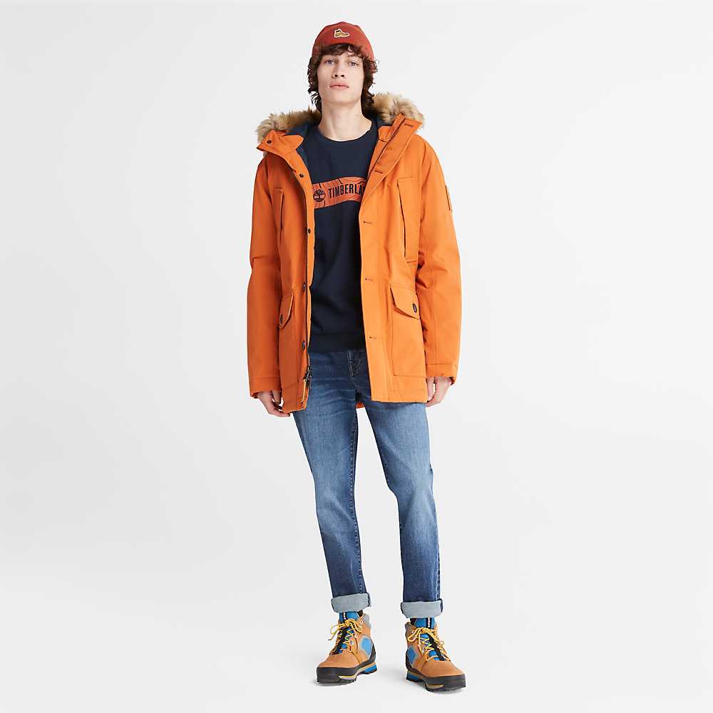 Men's Timberland Scar Ridge Parka Jackets Orange | UAE-8906753