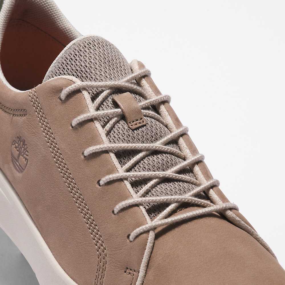 Men's Timberland Seneca Bay Sneakers Beige | UAE-5091764