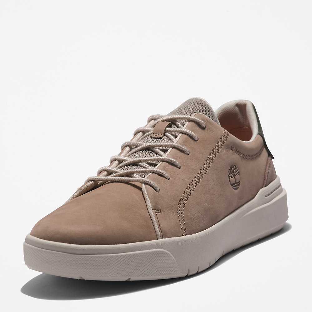 Men's Timberland Seneca Bay Sneakers Beige | UAE-5091764