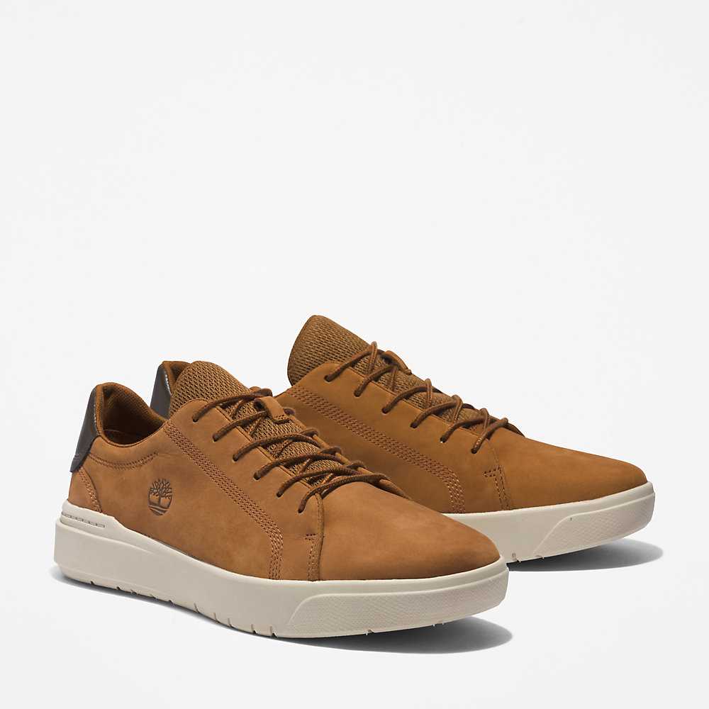 Men's Timberland Seneca Bay Sneakers Brown | UAE-2713859