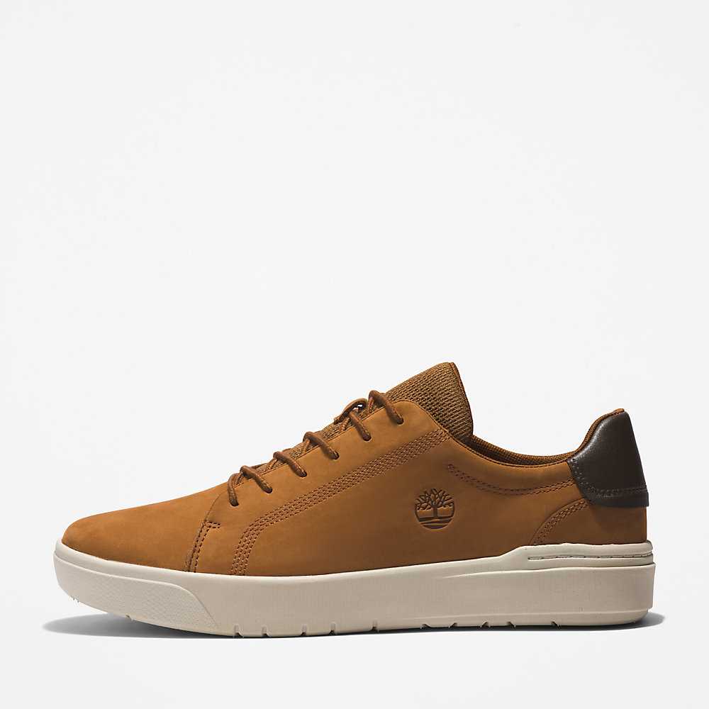 Men's Timberland Seneca Bay Sneakers Brown | UAE-2713859