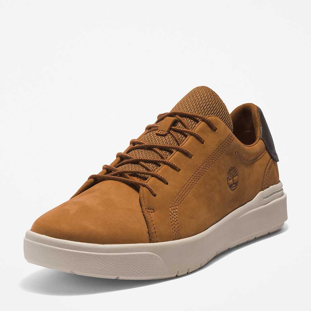 Men's Timberland Seneca Bay Sneakers Brown | UAE-2713859