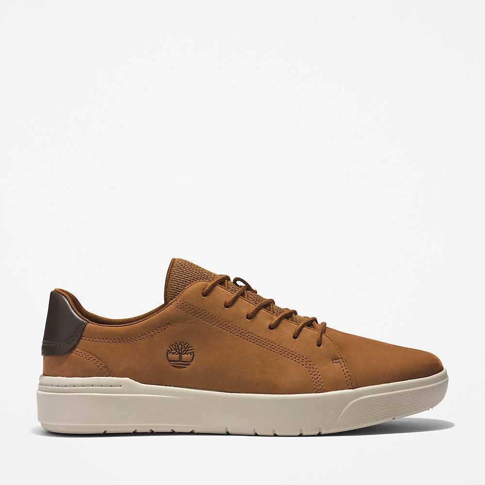 Men\'s Timberland Seneca Bay Sneakers Brown | UAE-2713859