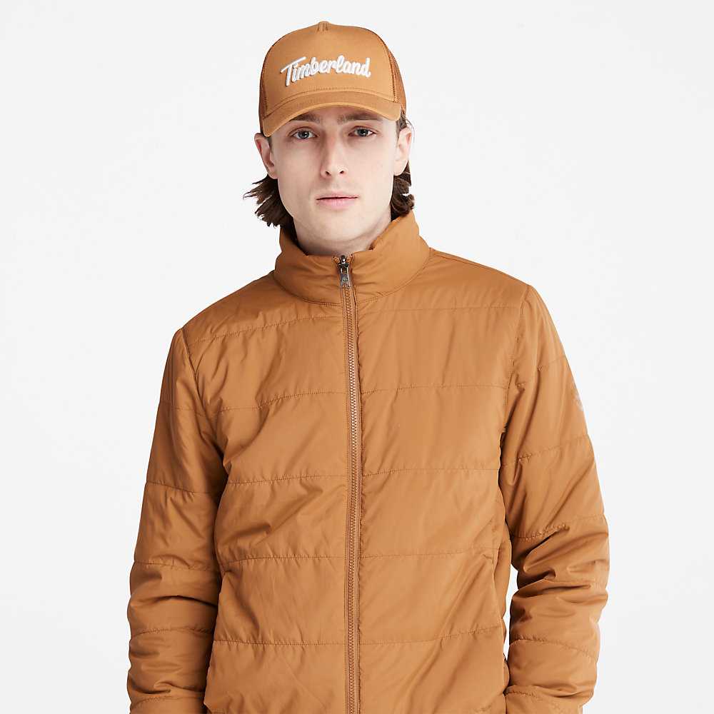 Men's Timberland Snowdon Peak Parka Jackets Light Brown | UAE-0128534