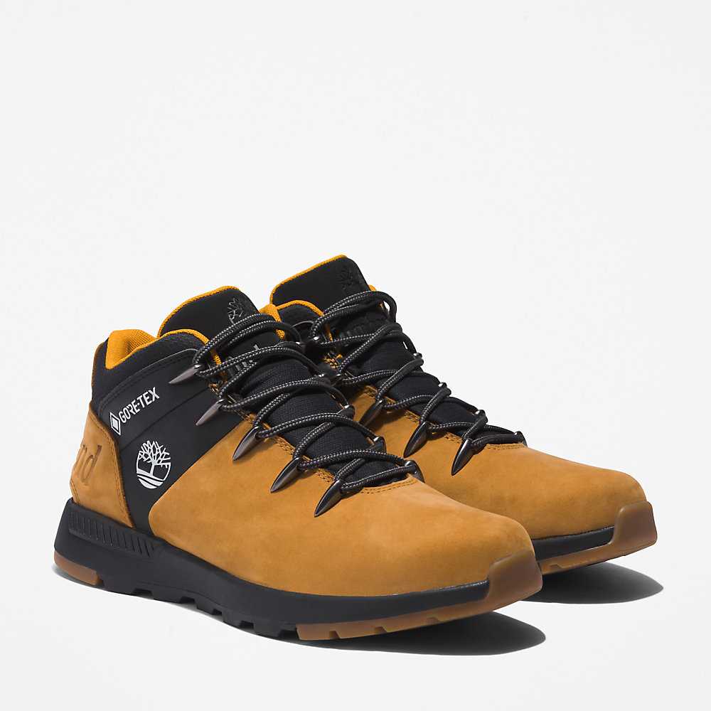 Men's Timberland Sprint Trekker Gore-Tex® Chukka Boots Light Brown | UAE-2463597