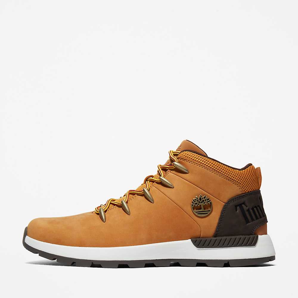 Men's Timberland Sprint Trekker Hiking Boots Yellow | UAE-9073842