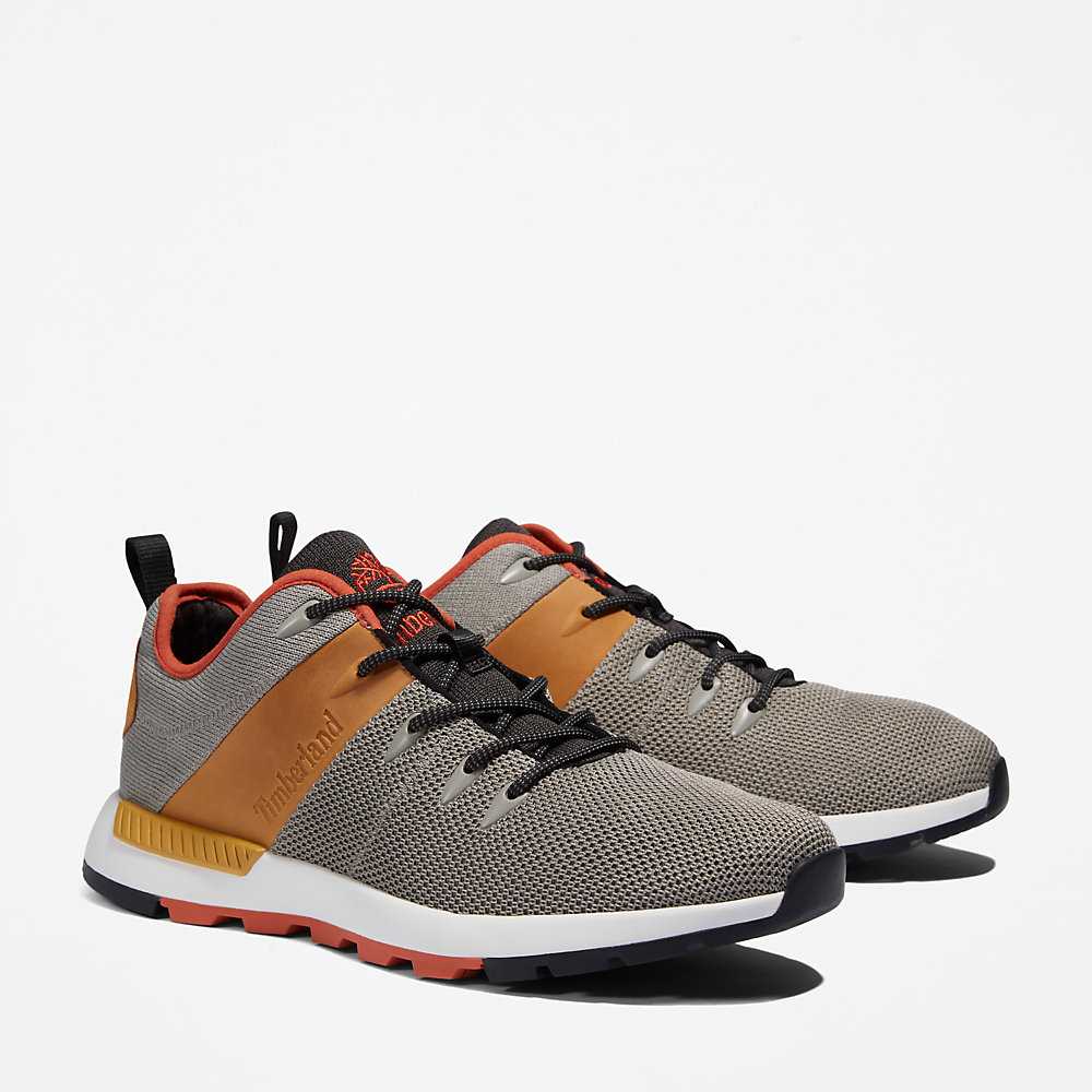 Men's Timberland Sprint Trekker Sneakers Grey | UAE-5624987