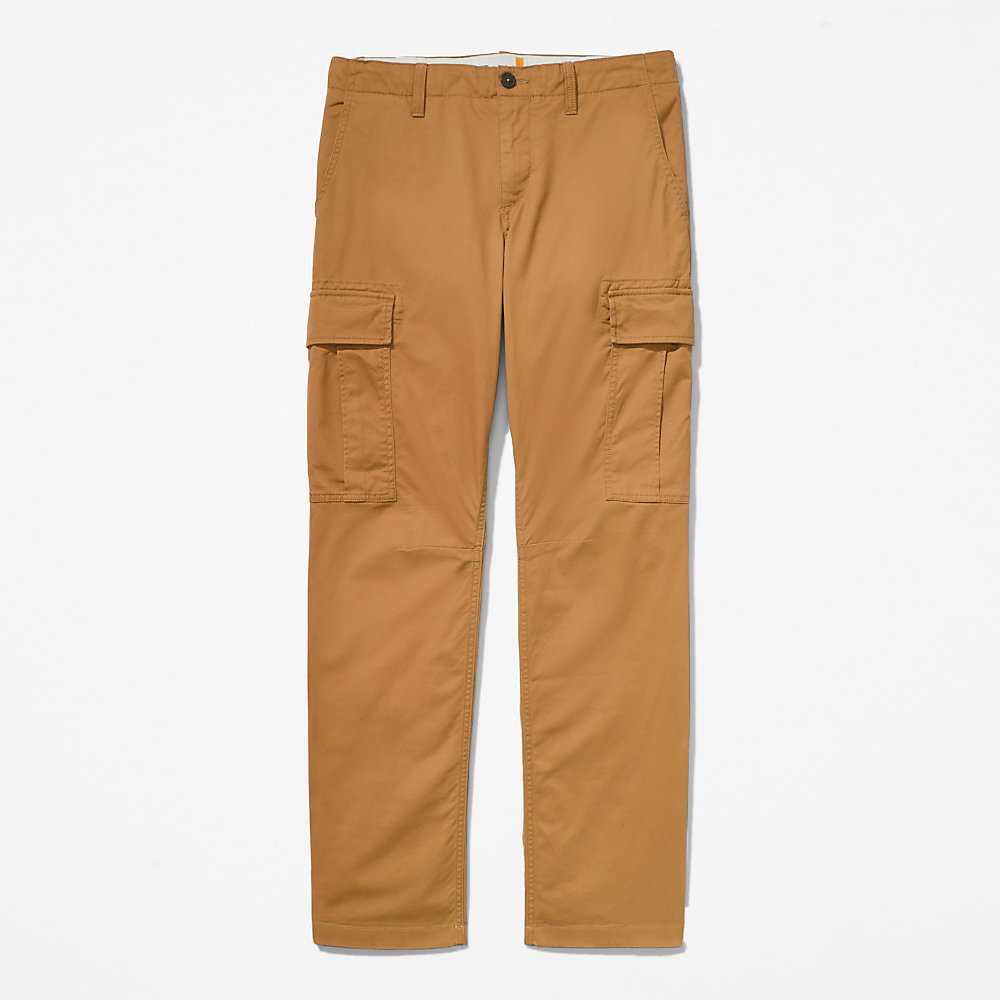 Men's Timberland Squam Lake Cargo Pants Yellow | UAE-9561472